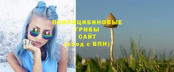 Альфа ПВП Богданович