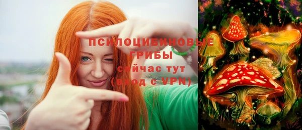 Альфа ПВП Богданович