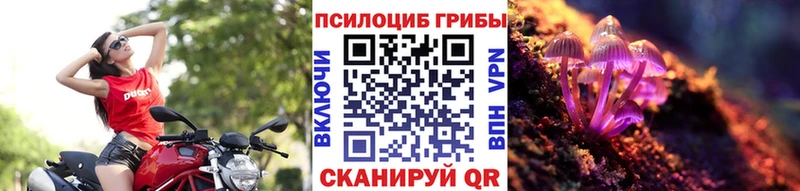 наркотики  Фёдоровский  Галлюциногенные грибы ЛСД 